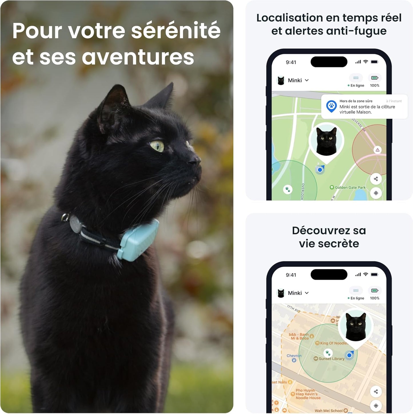 Tractive – Collier GPS Chat Connecté Mini | N° 1 des GPS pour Chats | Localisation en Direct | Historique de Localisation et Fonction Territoire | Collier de Sécurité Inclus (Menthe)