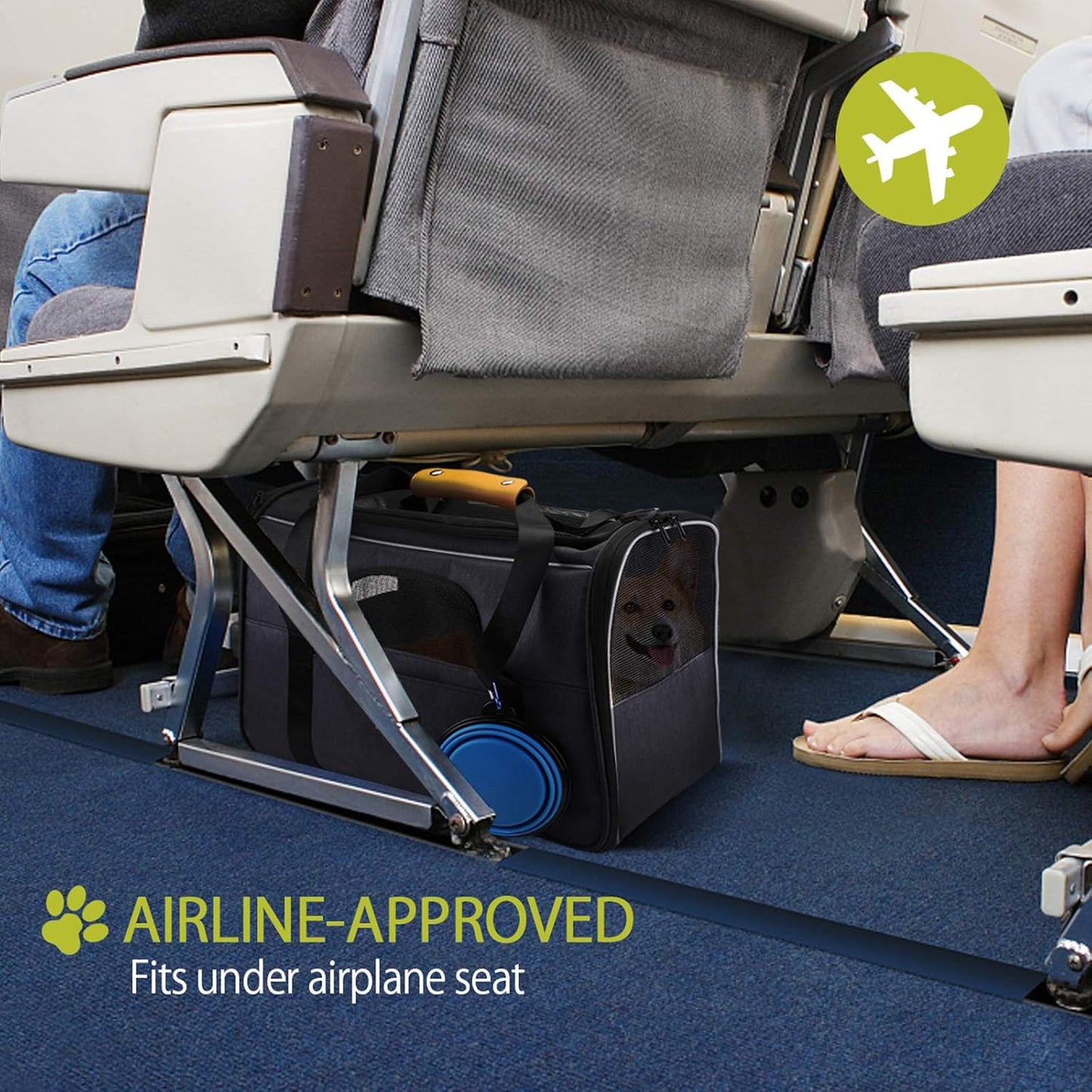 Morpilot Sac Transport Chat Chien, Caisse de Transport Chat Respirant et Pliable Cage Transport Chat avec Matelas en Peluche Amovible + Bol (Accepté au Maximum 15lbs/7kg，44 * 31 * 34cm)