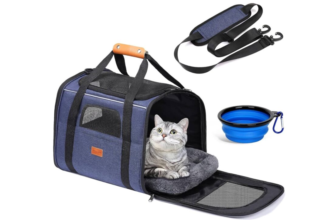 voyager avec son chat