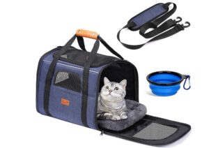 voyager avec son chat